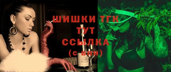 ГАЛЛЮЦИНОГЕННЫЕ ГРИБЫ Абаза