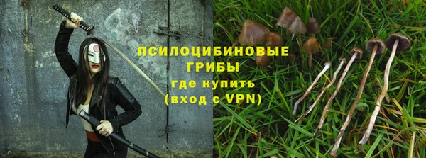 ГАЛЛЮЦИНОГЕННЫЕ ГРИБЫ Абаза