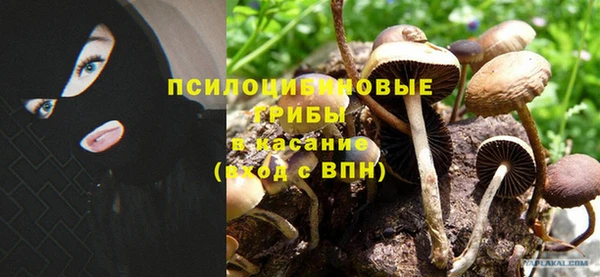 ГАЛЛЮЦИНОГЕННЫЕ ГРИБЫ Абаза