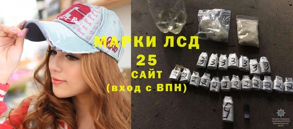 ГАЛЛЮЦИНОГЕННЫЕ ГРИБЫ Абаза