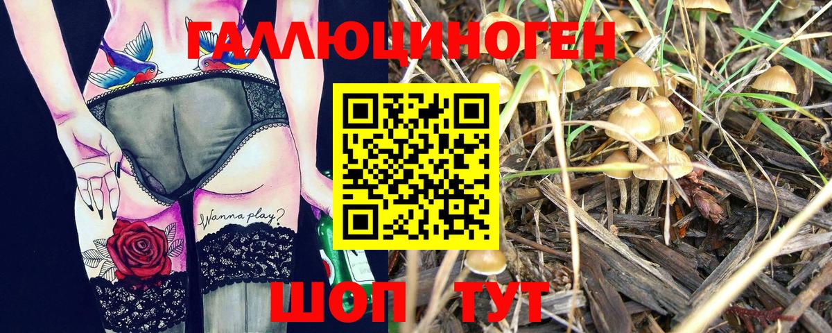 Галлюциногенные грибы ЛСД  магазин  наркотиков  Орск  Вход с VPN 